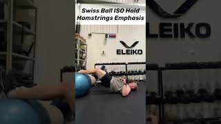 Swiss Ball ISO Hold (Hamstring Emphasis)