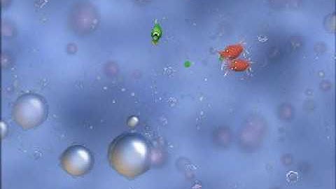 Becoming an omnivore 1/3