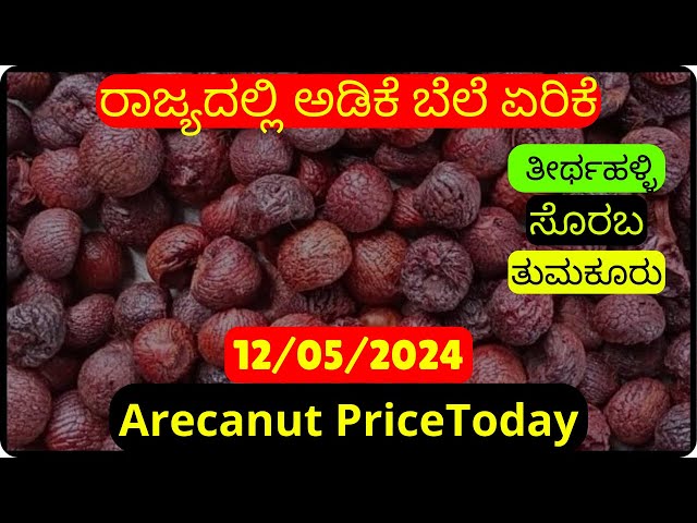 ರಾಜ್ಯದಲ್ಲಿ ಅಡಿಕೆ ಮಾರುಕಟ್ಟೆ ಬೆಲೆ ಏರಿಕೆ 12/05/2024 | Adike Market Rate Today in Karnataka class=