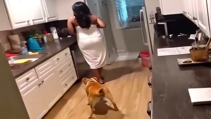 Housekeeper Had No Idea She Was Being Filmed - What Owner Captured Was  Shocking - YouTube