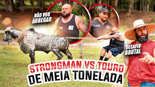 INSANE TUG OF WAR: STRONGMAN VS BULL IN TUG OF WAR WITH A BIG GUARD AND A HORSE