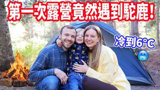 Download lagu 【第一次帶兒子睡在星空下！】原來美國人這樣露營🇺🇸 經典露營美食、追楓，竟然還遇到麋鹿！🫎