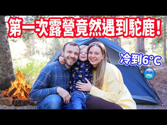 【第一次帶兒子睡在星空下！】原來美國人這樣露營🇺🇸 經典露營美食、追楓，竟然還遇到麋鹿！🫎