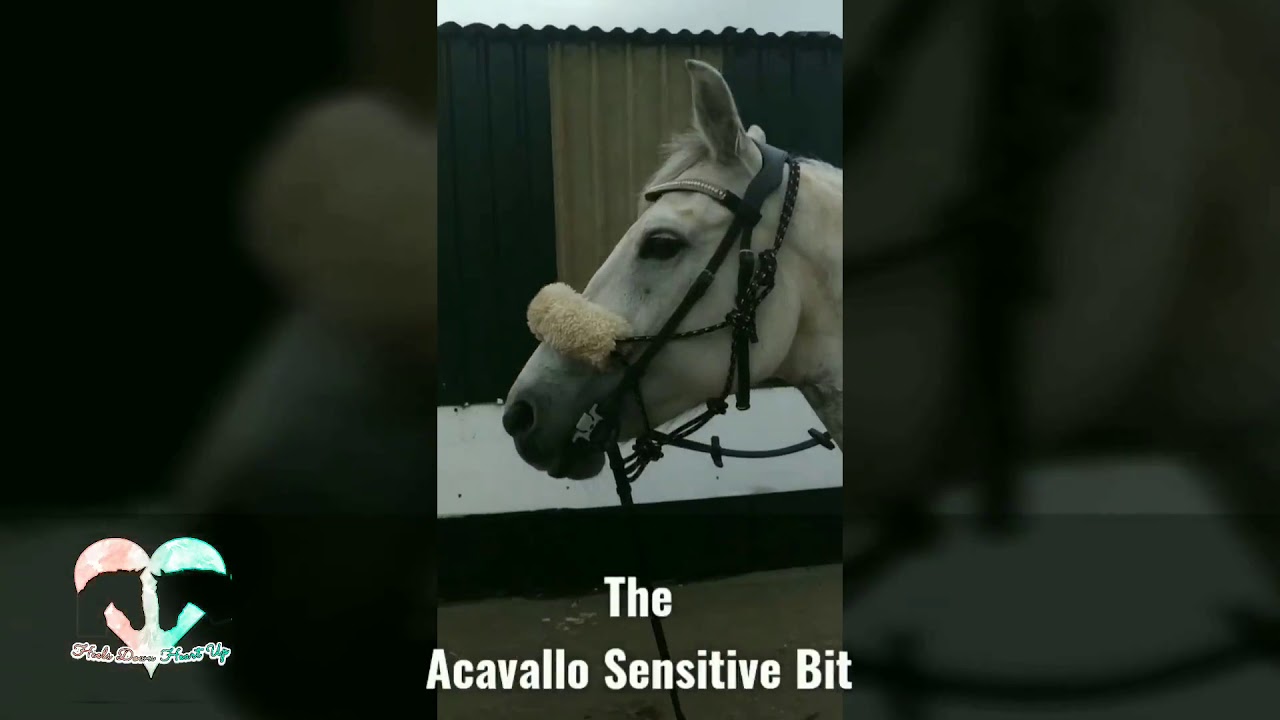 NEW Acavallo Sensitive Bit 5" 
