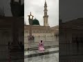 best naats#2026 best naats#trending naats#best Islamic shorts#best Islamic status#love Madina#naats