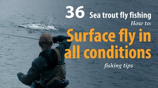 How to • Sea trout  Fly fishing • Surface fly in all conditions • fishing tips