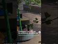 Вооруженное нападение на мирных жителей произошло в Лондоне #новости #newsby #лондон #стрельба #чп