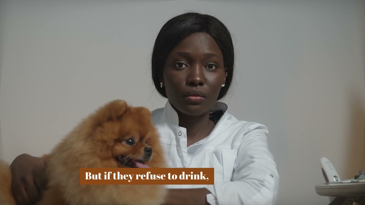 Is Your Pet Dehydrated? 💧 Signs You Shouldn’t Ignore!