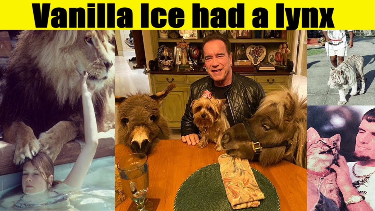 Celebrities Who Have an Exotic Pet as Part of Their Family .. Want You