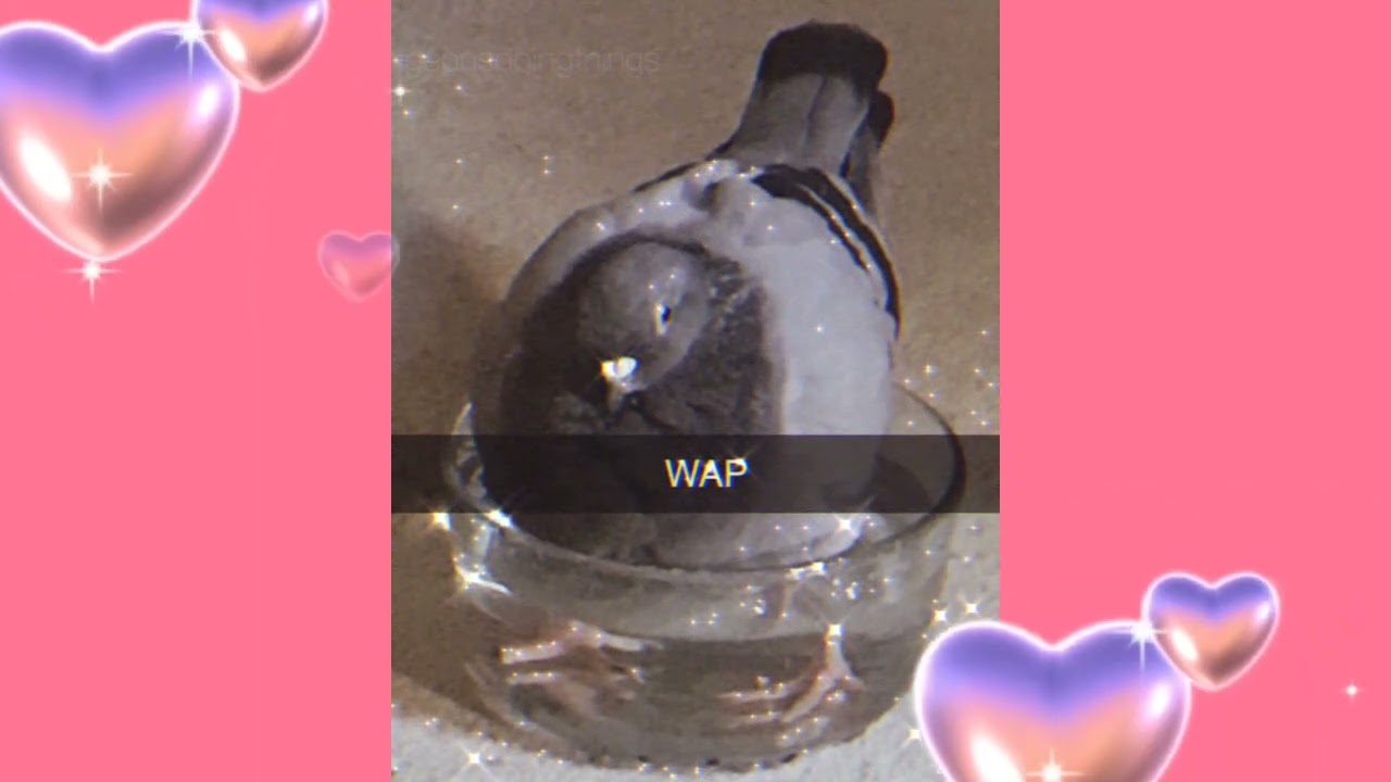 *AESTHETIC WARNING* sweatshirt x my neck my back mashup