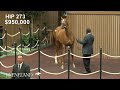 Hip 273, Justify - Undercover Justice sells for $1 million at 2024 Keeneland September