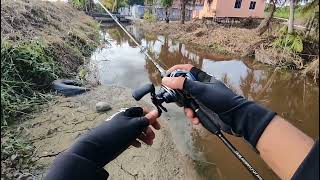 Umpan Soft Plastik Killer Untuk Ikan Air Tawar|Tiga Spesis Ikan Berbeza Dalam Satu Trip|Sarawak screenshot 1