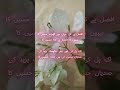 صدیاں حسین کی ہیں زمانہ حسین کا | Beautiful Poetry Tribute