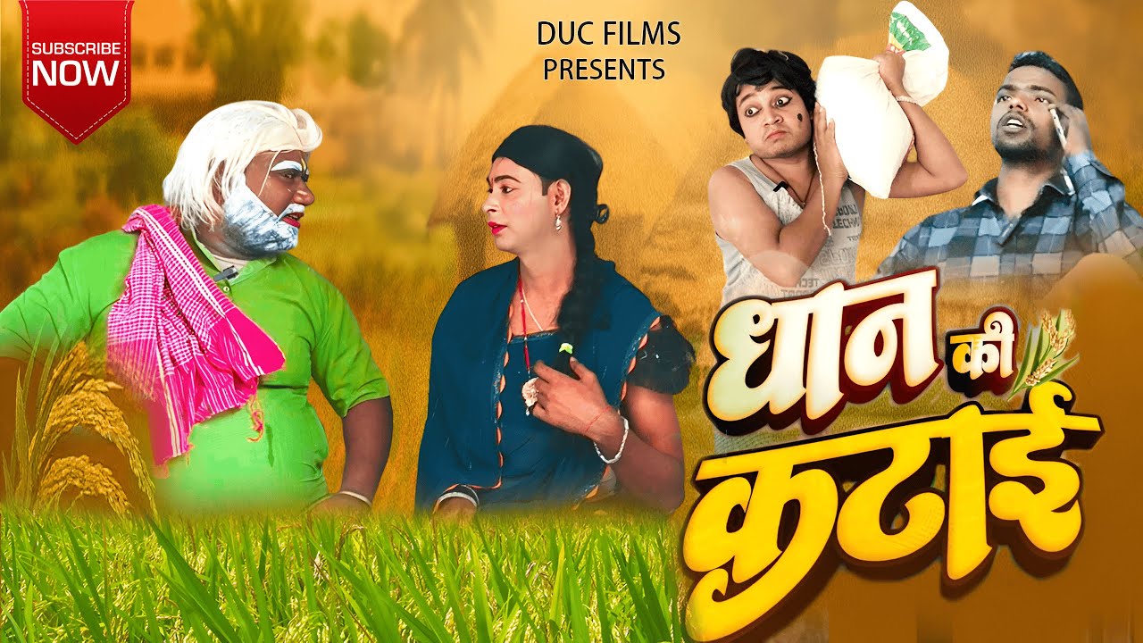 धान की कटाई 🌾 | Dhaan Ki Katai | Angika Comedy Video | Desi Village Funny | DUC FILMS