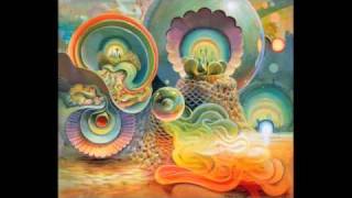Psilocybe Cubensis