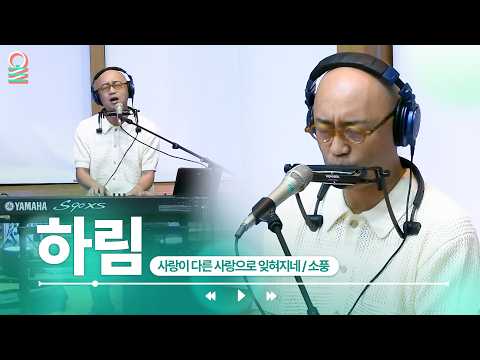 [ALLIVE] 하림 - 사랑이 다른 사랑으로 잊혀지네 + 소풍 | #MBCRADIO #완벽한하루이상순입니다 #하림 #라이브 | MBC 260616 방송