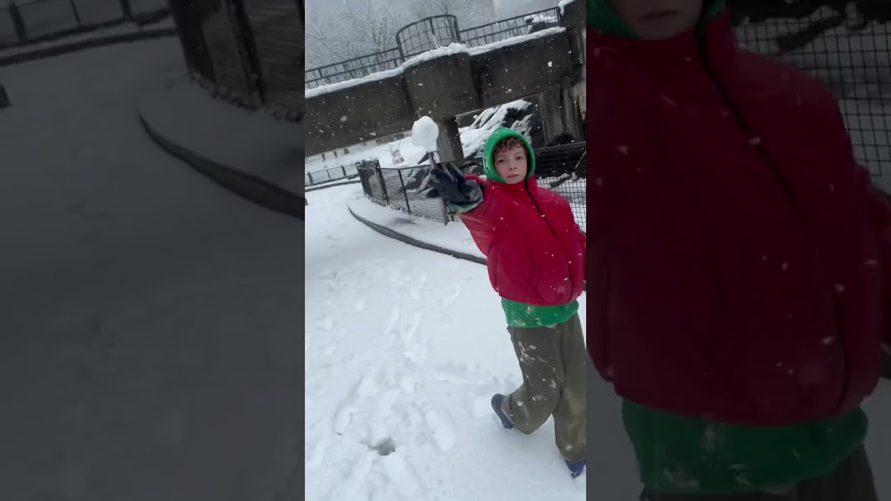 Snow day ❄️❄️❤️ 