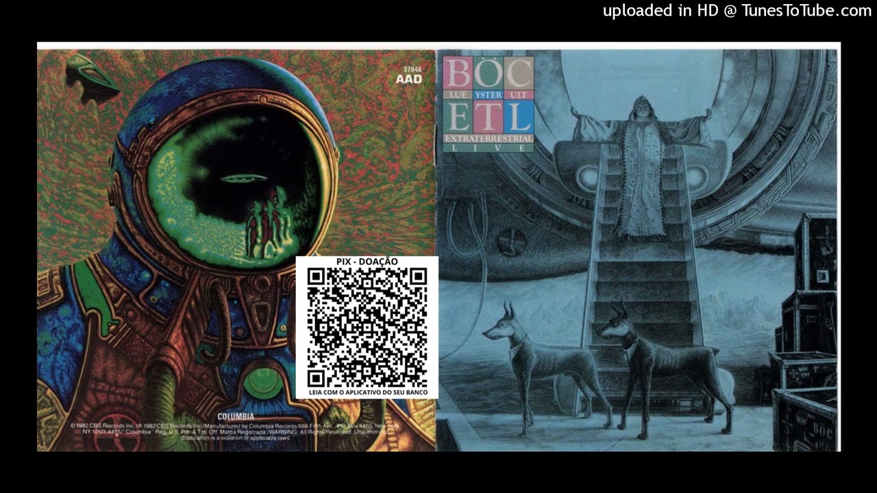 01 Dominance And Submission