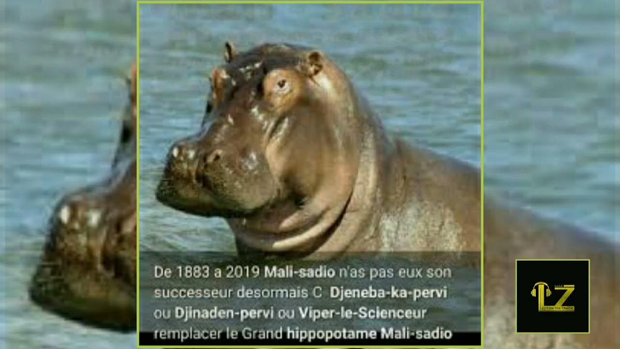 MALI SADIO BEAT INSTRUMENTAL LEZY PRODUCTION