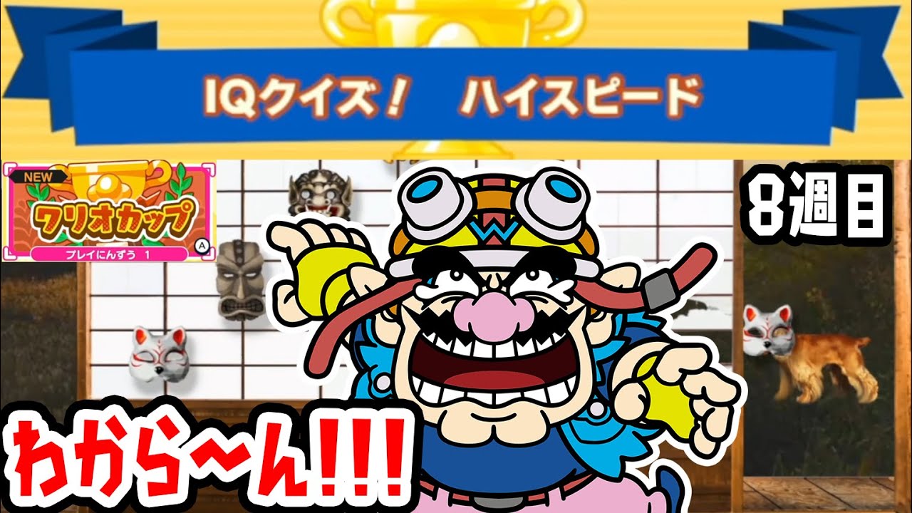 ワリオカップ8週目】IQクイズをノーミスでクリアしたのに…？【おすそ
