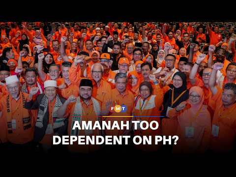 Reliance on allies may blunt Amanah’s values-based politics, analyst says