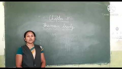 Dalauda Public School Class 3rd science chapter 5 (Part - 1) video  by Bindu Tiwari