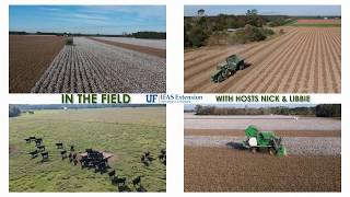 In The Field - Episode 1- Hay sampling for forage quality