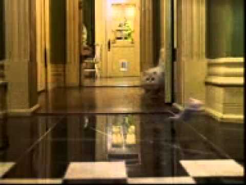 stuart-little-(-hindi-version)