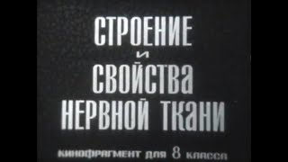 Строение И Свойства Нервной Ткани. Кинофрагмент Для 8 Класса.