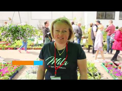 Video: Dārzniecība 