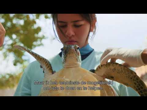 Trailer - JULIETA & DE SCHILDPADDEN IN DE PLASTIC SOEP