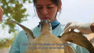 Trailer - JULIETA & DE SCHILDPADDEN IN DE PLASTIC SOEP