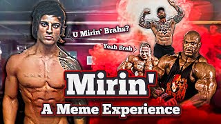 Mirin' - A Meme Experience