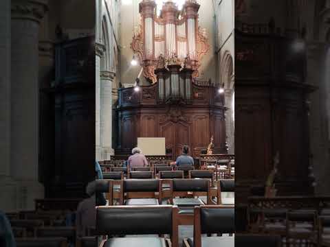 Video: Verschil Tussen Weefsel En Orgel
