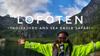 Norway | Trollfjord and Sea Eagle Safari Lofoten