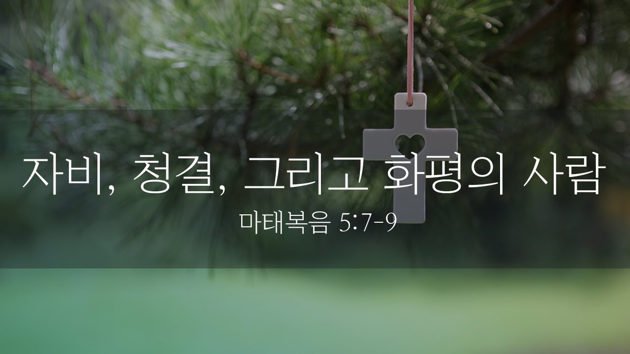 자비, 청결, 그리고 화평의 사람!