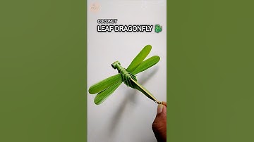 Coconut Leaf Dragonfly 🐉 | Simple & Beautiful Craft Idea #shorts