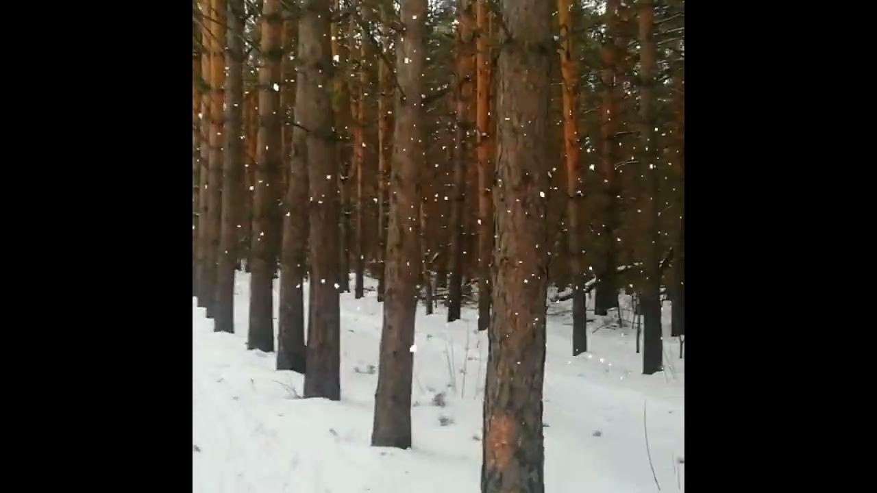 Больница лесной городок ленинск-кузнецкий. Лесной городок ленинск кузнецкий отделения. Городок ленинск кузнецкий. Нкцозш ленинск-кузнецкий. Кафе дольче вита ленинск кузнецкий.