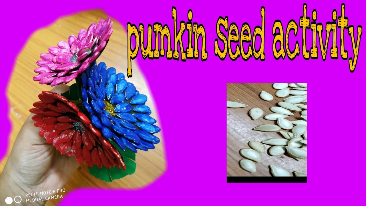 #pumkin seed activity#beautiful flower maiking How to make pumkin seed used flower|Waste material|