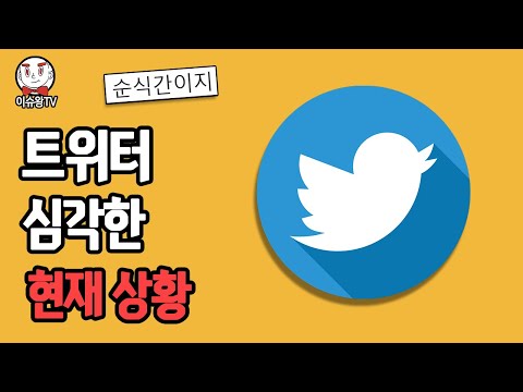 트위터 현재 심각한 위기 