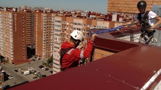 Условный враг собаки: кто и почему идет в опасные профессии в Краснодаре Условный враг собаки: кто и почему идет в опасные профессии в Краснодаре