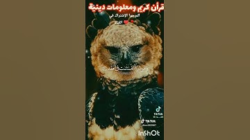 قرأن كريم ♥️ 🤗 #تلاوة #القران #الكريم #خشوع #راحة #نفسية ❤️ ✅