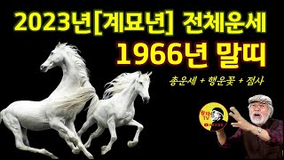 2023년 운세 [1966년생 말띠 / 계묘년] #말띠운세 #2023년운세 #2023년말띠운세 #계묘년운세 …