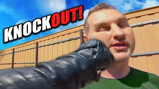 WHEN BIKERS FIGHT BACK! | Crazy Motorcycle Moments Ep. #30