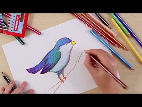 Video: Hoe Vogels Te Leren Tekenen