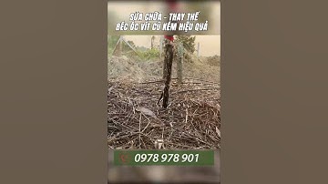 CHUYỂN ĐỔI BÉC ÓC VÍT SANG BÉC TƯỚI VP10 130LÍT ĐẠT HIỆU QUẢ