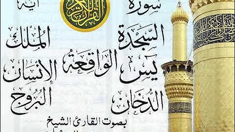 تلاوة الشيخ محمد صديق المنشاوي من سور السجدة  يس  الدخان  الواقعة  الملك  الإنسان  البروج  نوادر 591