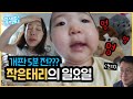 관종언니의 개판 VLOG! 작은태리를 위한 일요일 나들이 고고씽~!! (feat. 장안동 할머니네)