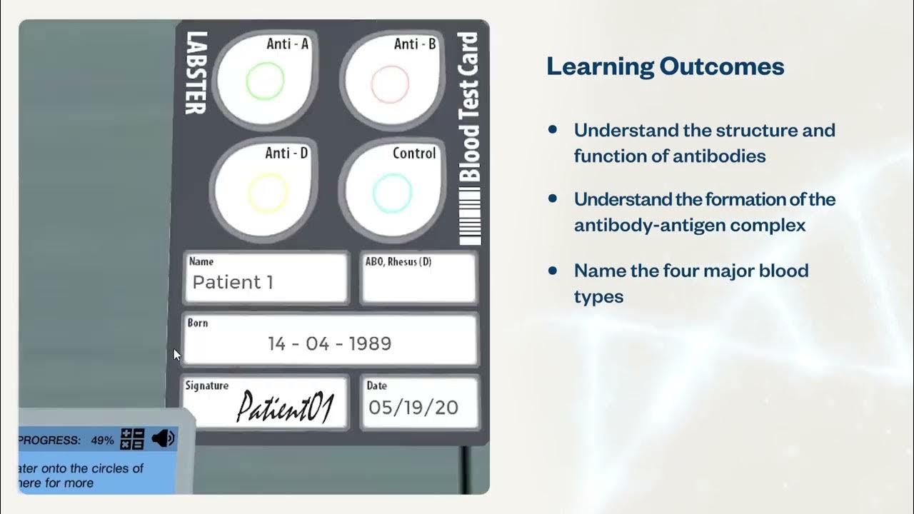 Antibodies Why are some blood types Virtual Lab YouTube