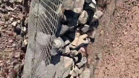 Amelia the Archaeologist: Pedestrian Survey (ASL)